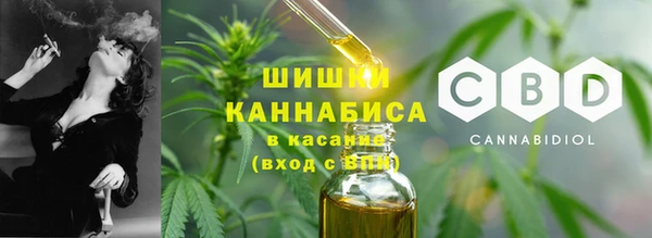 PSILOCYBIN Богданович