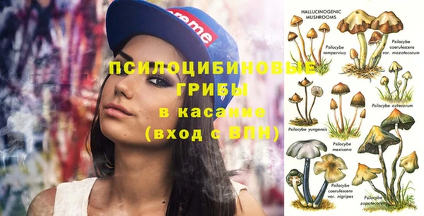 PSILOCYBIN Богданович