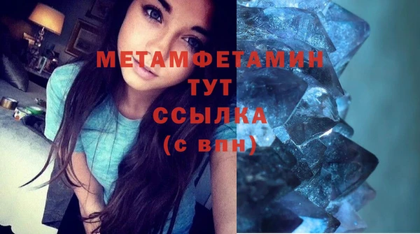 PSILOCYBIN Богданович