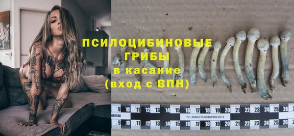 PSILOCYBIN Богданович