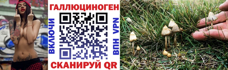 Галлюциногенные грибы MAGIC MUSHROOMS  купить наркотик  Егорьевск 