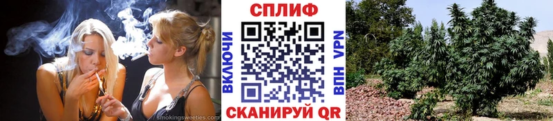 Марихуана семена  Егорьевск 
